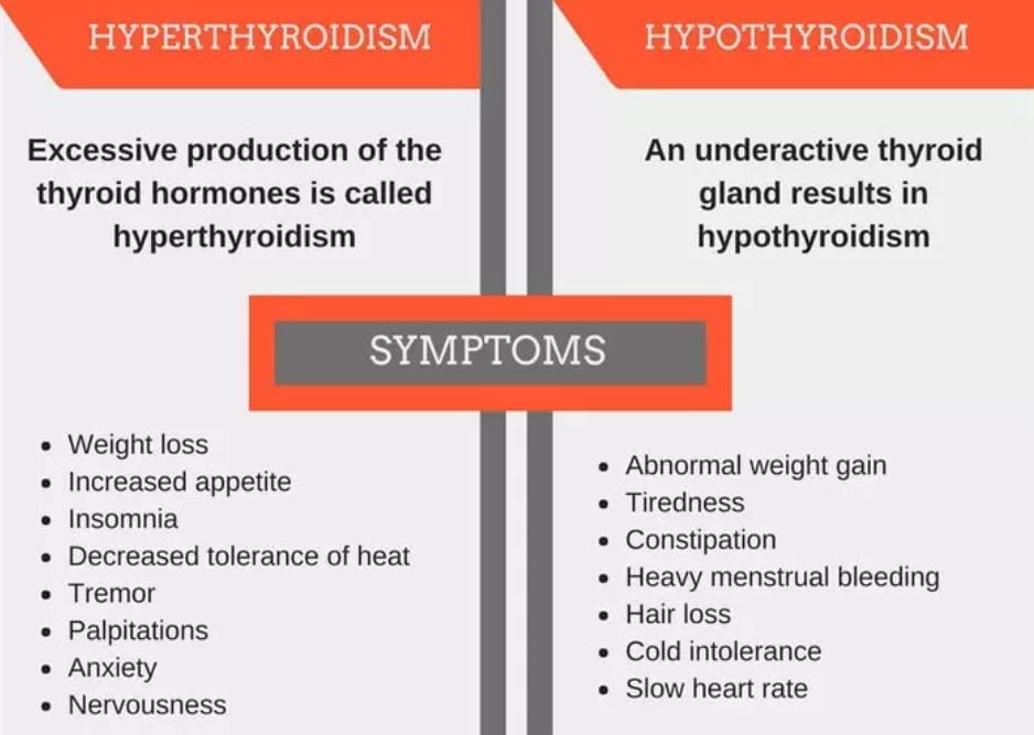 5 Common Misunderstandings about Thyroid Disease - Legal Reader