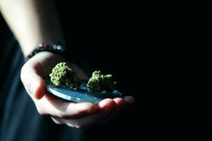 Cannabis and Opioid Co-use May Cause More Harm Than Good