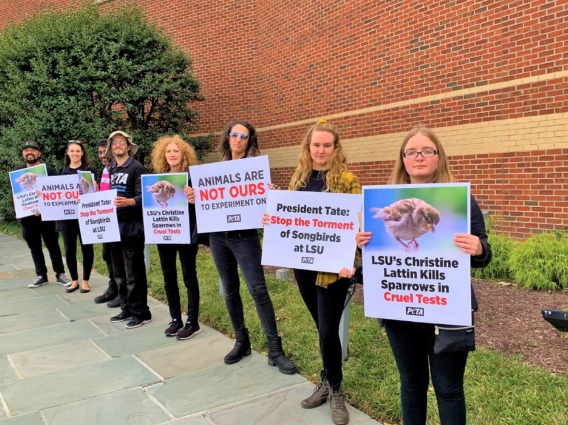 PETA supporters protest Lattin’s experiments. Credit PETA
