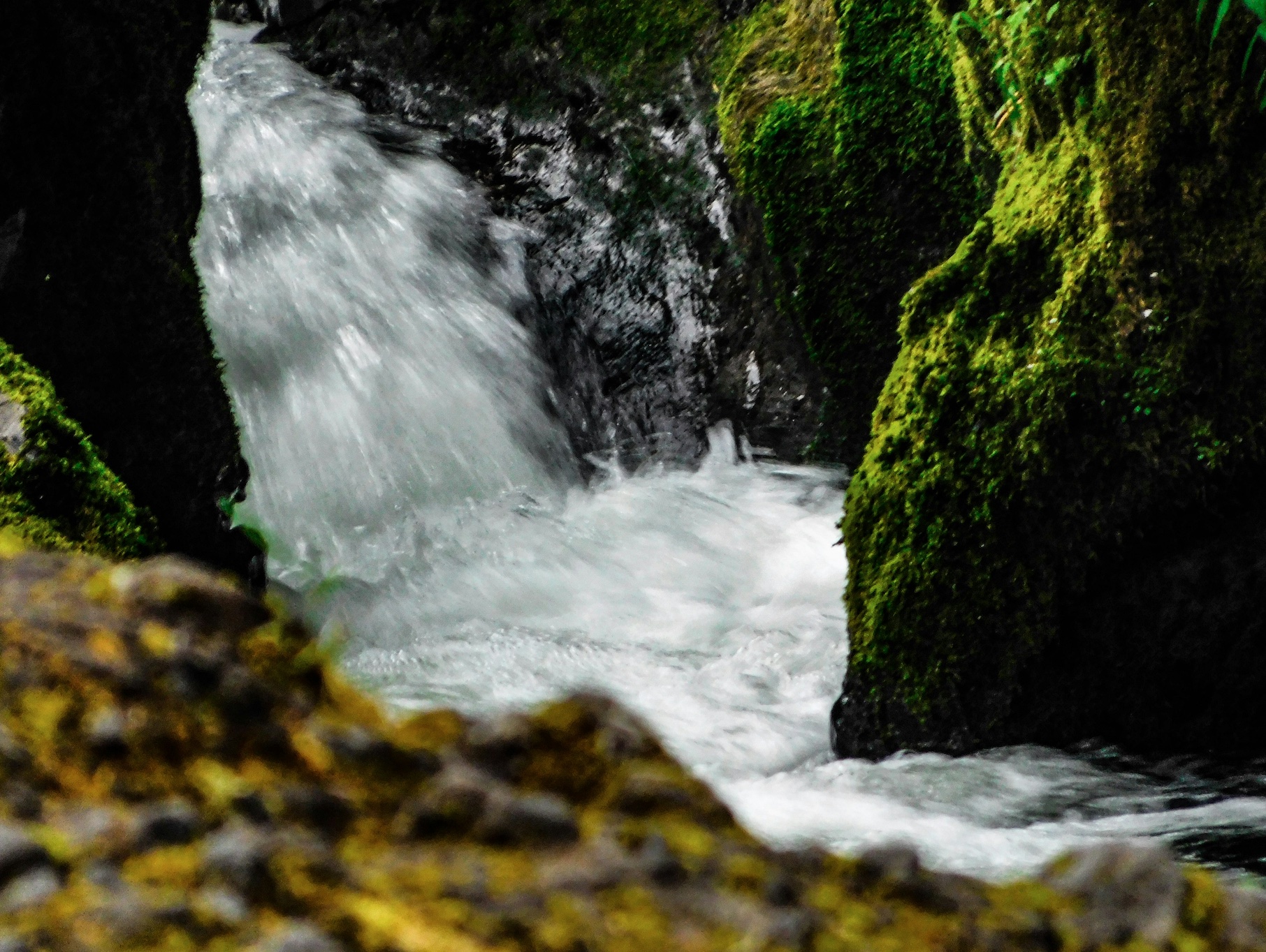 Rushing waterfall on the Deschutes River; image by Peter Robbins, via Unsplash.com.