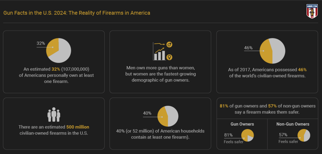 Gun facts in the US 2024; graphic by author.