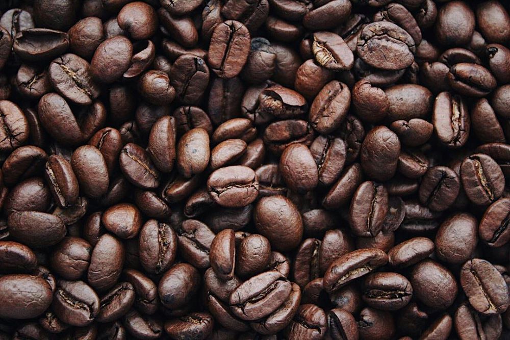 Study: Coffee's Surprising Impact on Gut Health