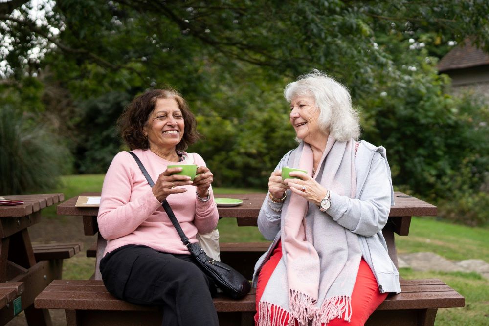 Green Tea May Protect Cognitive Ability in Aging Adults