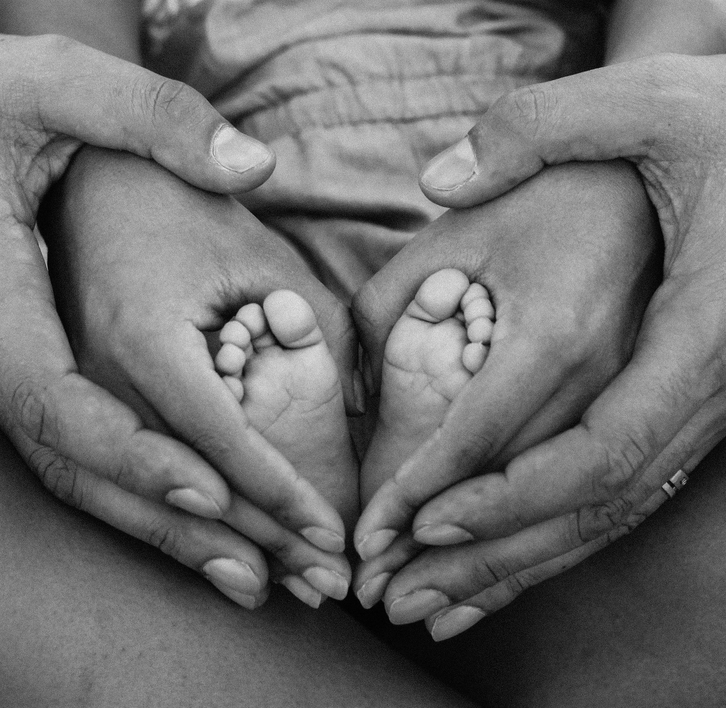 Study Reveals Why Newborn Hearts Heal